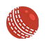 parimatch-Cricket_icon